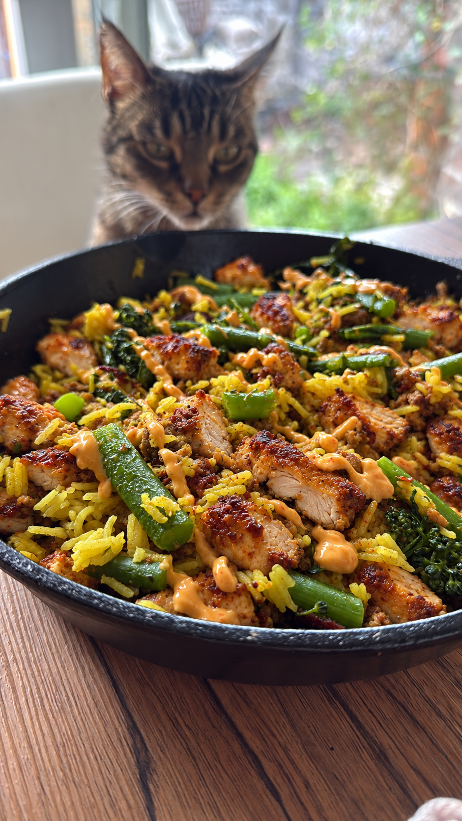 A pan of browned chicken-thigh pieces, rice and vegetables on the table, with a curious cat watching behind it.